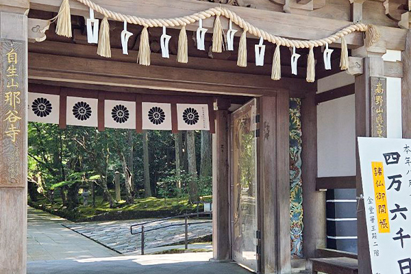 写真：長谷寺