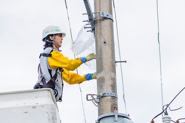 写真：配電工事部